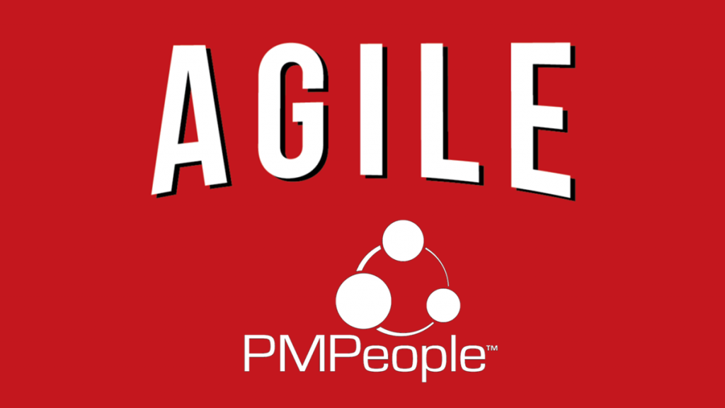 PMPeople is the tool for the Project Economy
