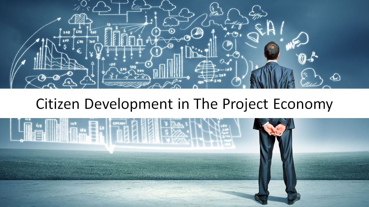 Citizen Development in The Project Economy